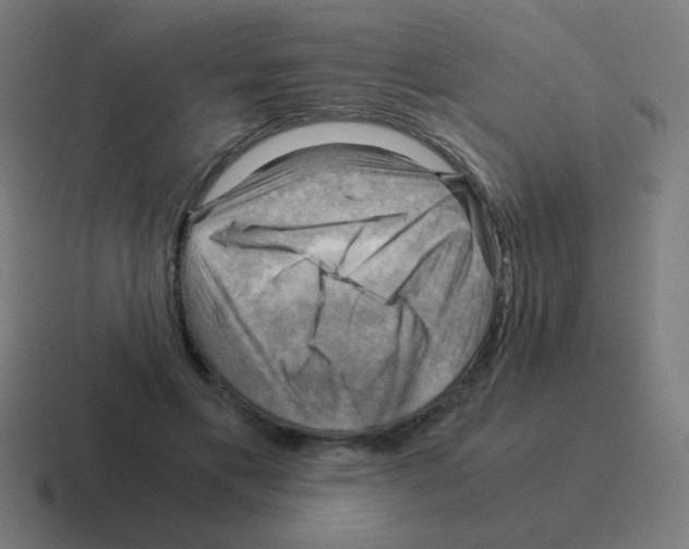 X0000116060597200912312313