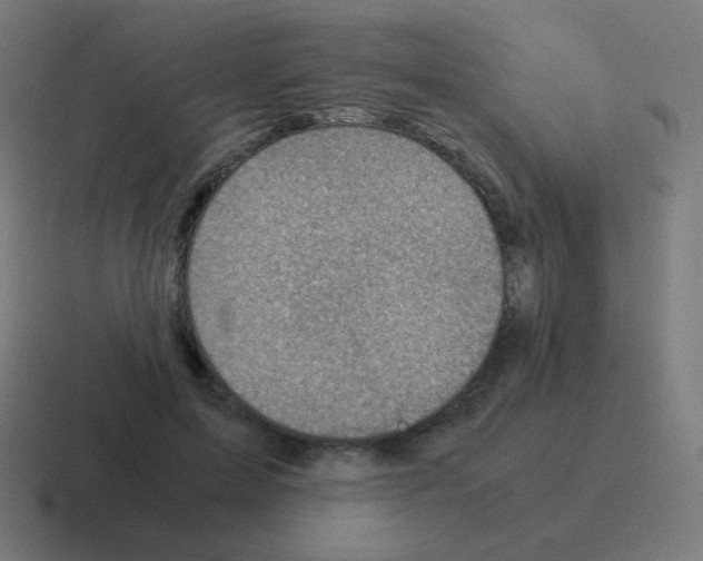 X0000116060599200912312313