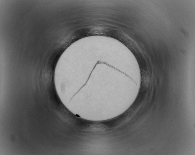 X0000116060603200912312313