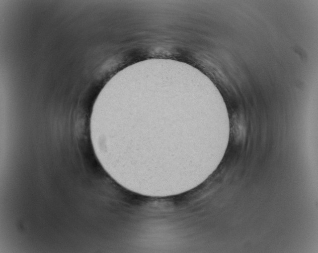 X0000116060619200912312313