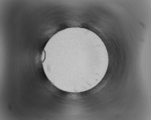 X0000116060624200912312313