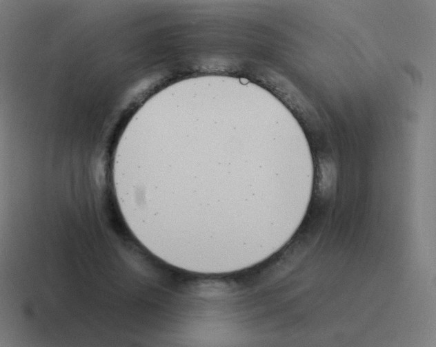 X0000116060636200912312312