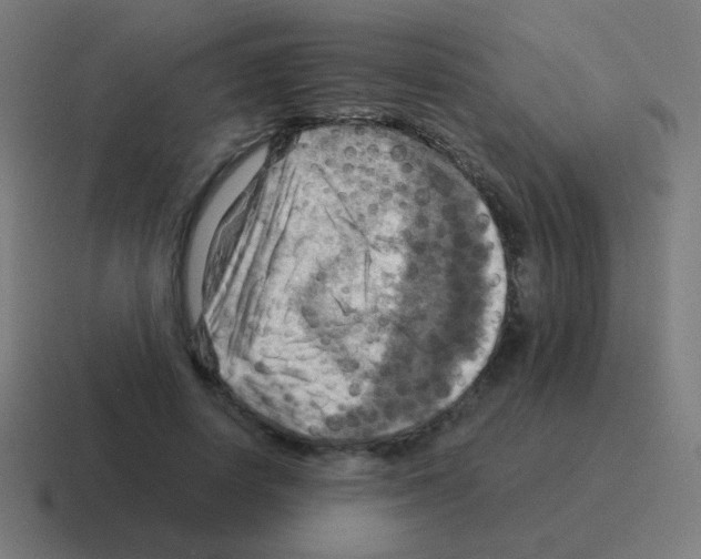X0000116060642200912312312