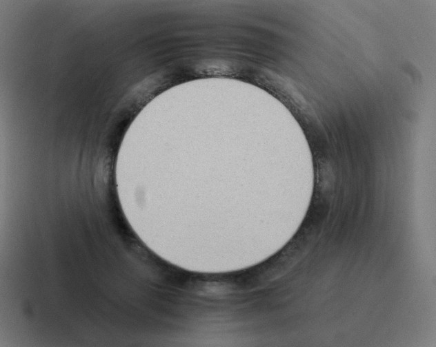X0000116060645200912312312