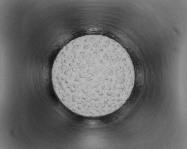 X0000116060654200912312312
