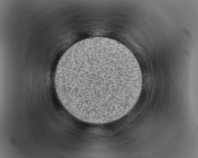 X0000116060655200912312312