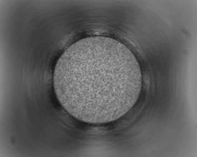 X0000116060657200912312312