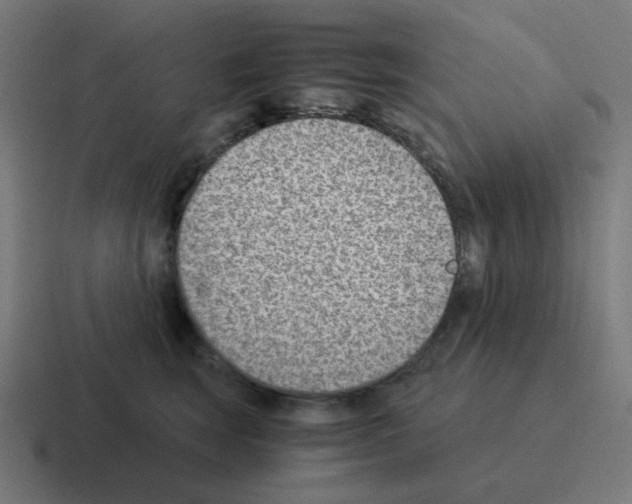X0000116060663200912312313