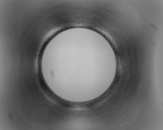 X0000116060678200912312312
