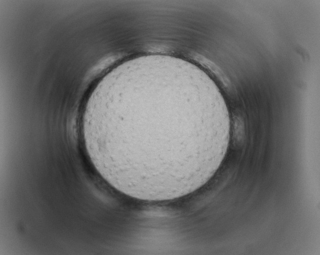 X0000116060682200912312312