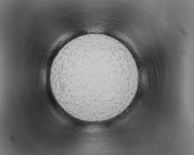 X0000116060686200912312312