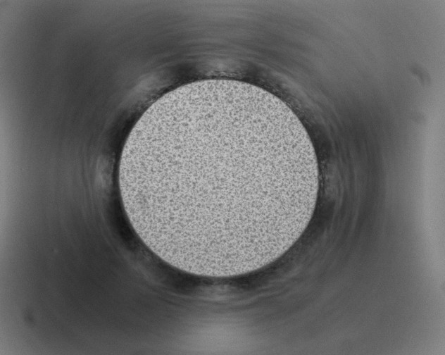 X0000116060695200912312312