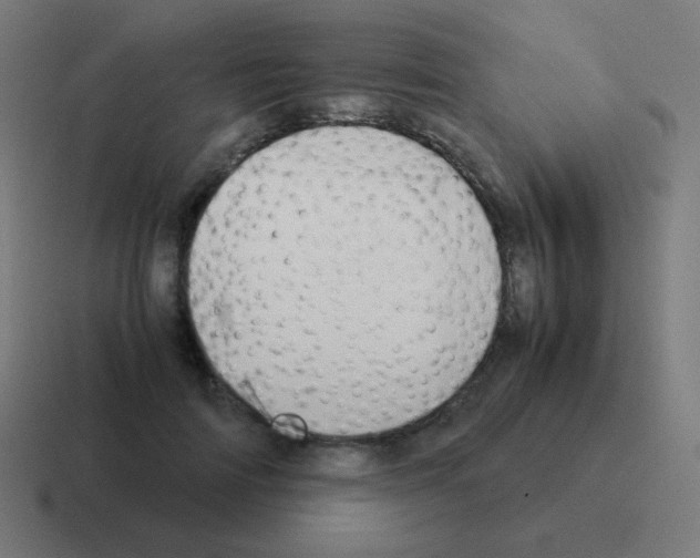 X0000116060698200912312312