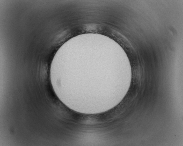 X0000116060702200912312312