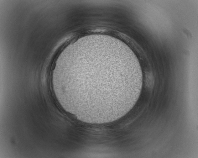 X0000116060731200912312311