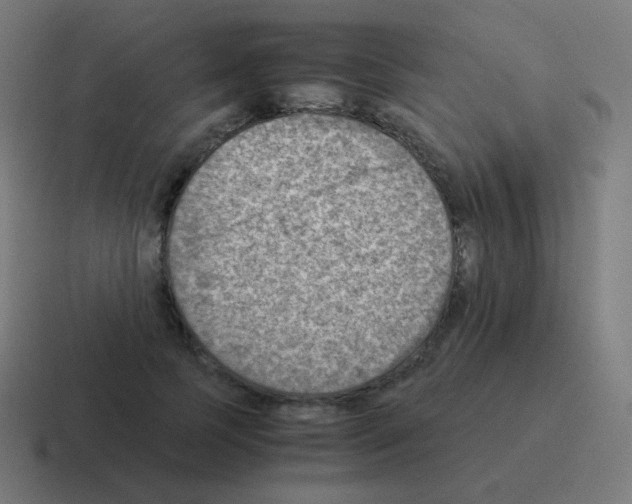 X0000116060745200912312311