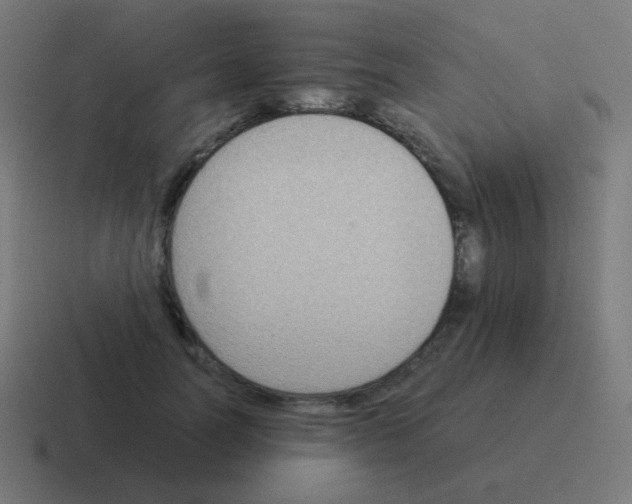 X0000116060746200912312311