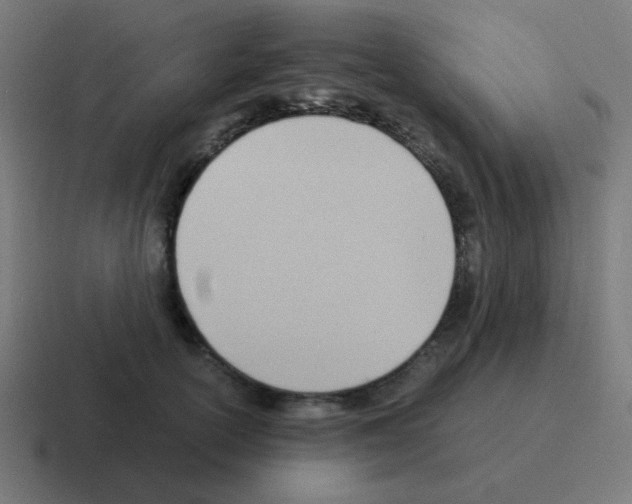 X0000116060754200912312311