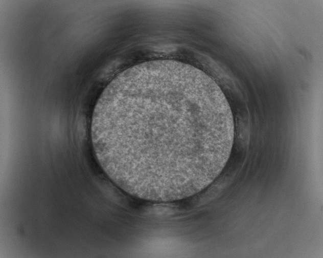 X0000116060758200912312311