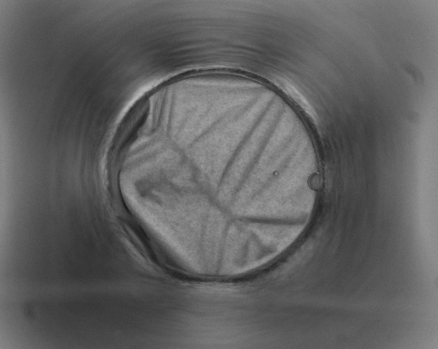 X0000116060789200912312311
