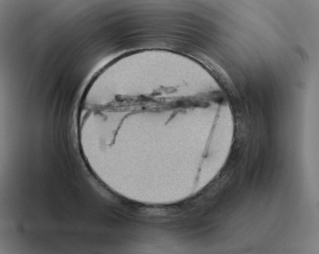 X0000116060792200912312311