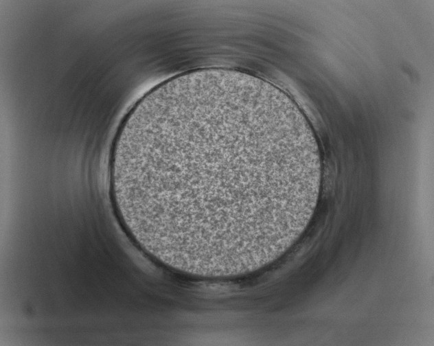 X0000116060795200912312310