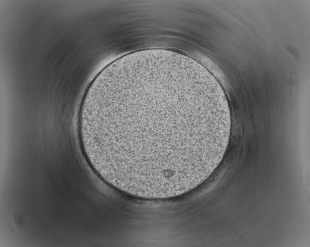 X0000116060803200912312310