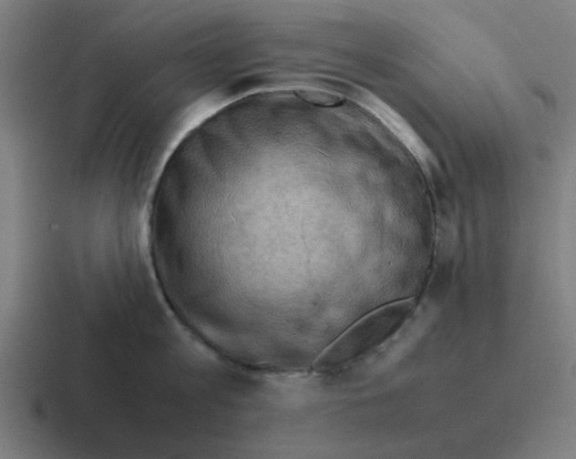 X0000116060813200912312310