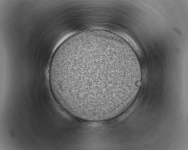 X0000116060814200912312310