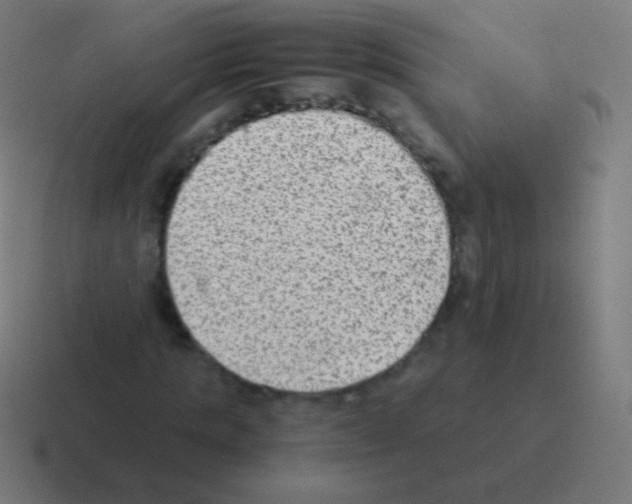 X0000116060821200912312310