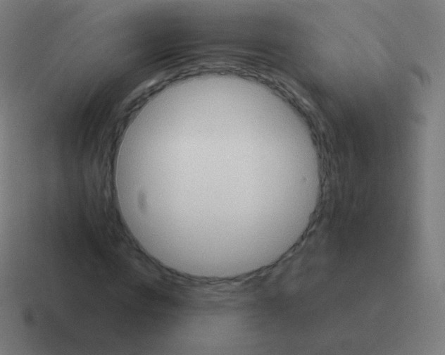 X0000116060824200912312310