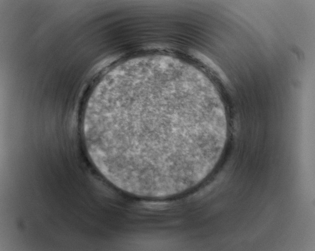 X0000116060825200912312310