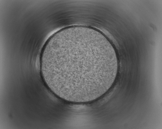 X0000116060838200912312310