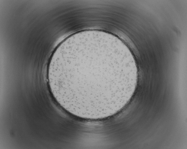 X0000116060842200912312310