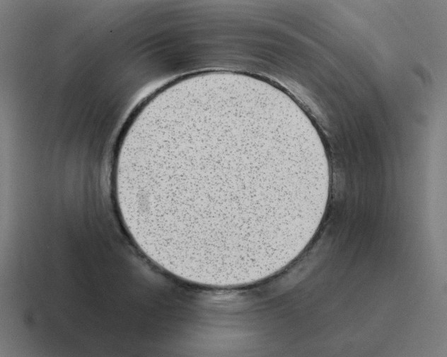 X0000116060846200912312310