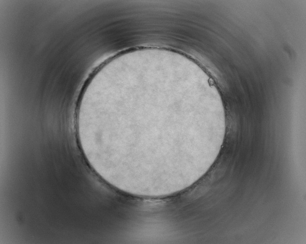 X0000116060848200912312310