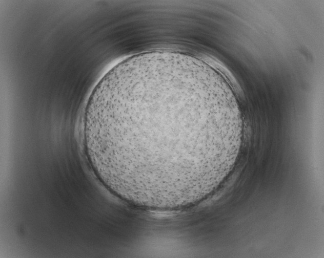 X0000116060852200912312310