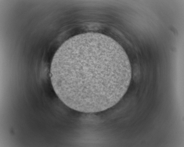 X0000116060866200912312310