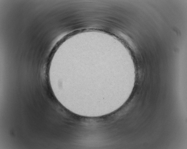 X0000116060875200912312309