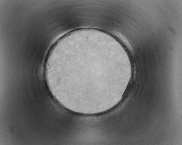 X0000116060876200912312309