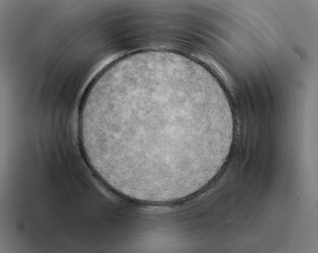 X0000116060894200912312309