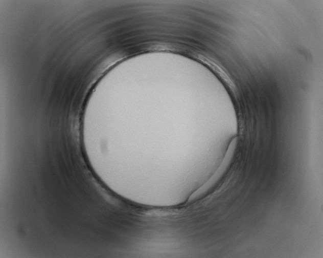 X0000116060898200912312309