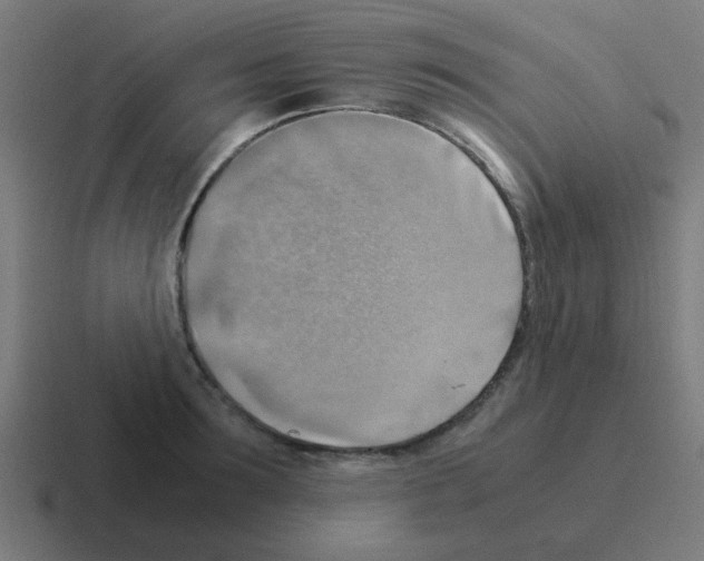 X0000116060899200912312309