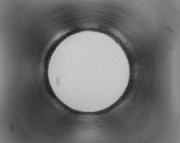 X0000116060922200912312308