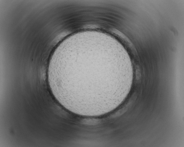X0000116060929200912312309