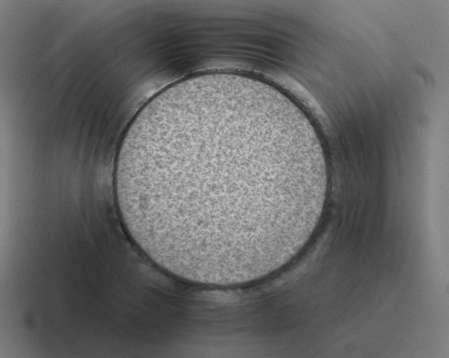 X0000116060937200912312309