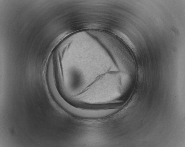 X0000116060946200912312309