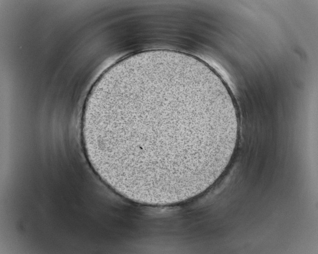 X0000116060949200912312309