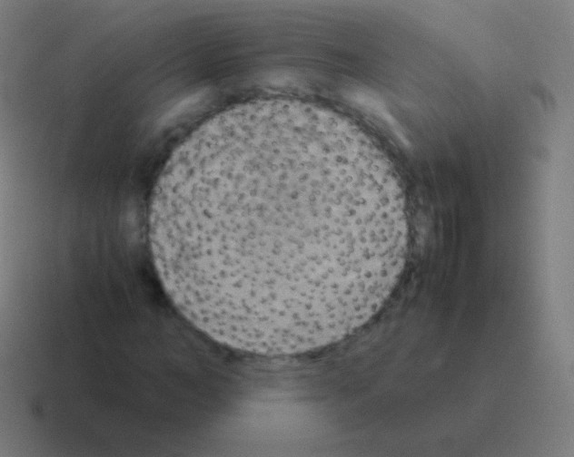 X0000116060966200912312308