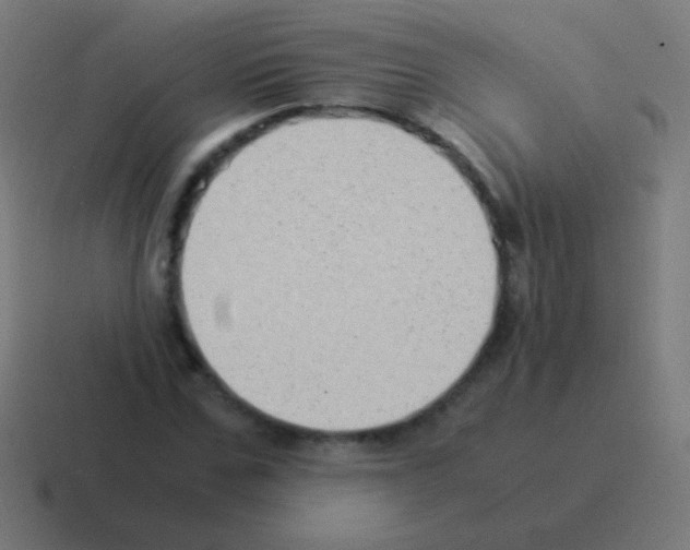 X0000116060971200912312308